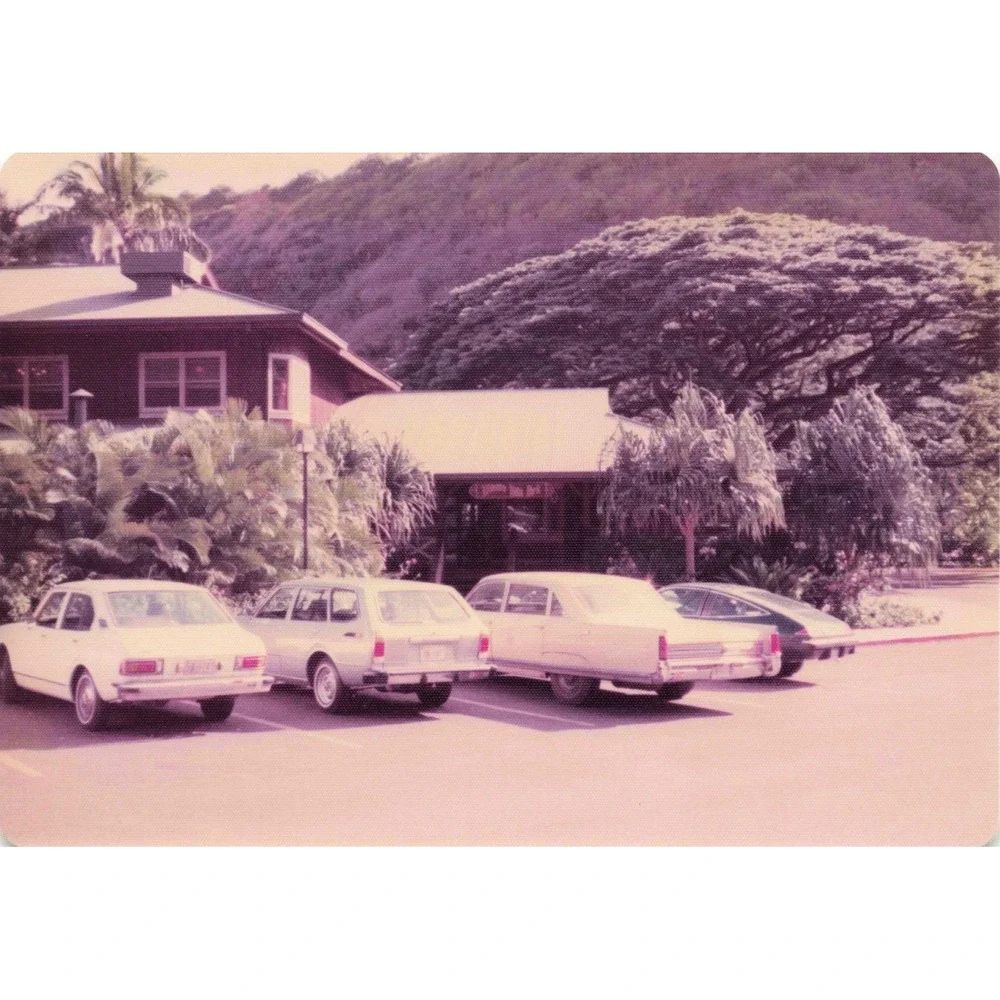 Vintage 1970s Hawaii Oahu Volcanic Hill Garden Peafowl Photo Lot of 6 - Picture 6 of 6